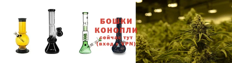 купить закладку  Котельниково  Шишки марихуана White Widow 